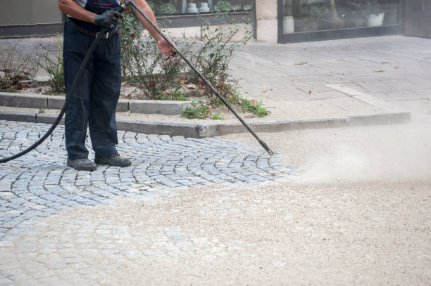 Best Factory Floor Cleaning  in Albers, IL
