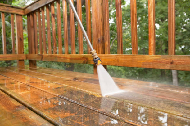 Best Boat and Dock Cleaning  in Albers, IL